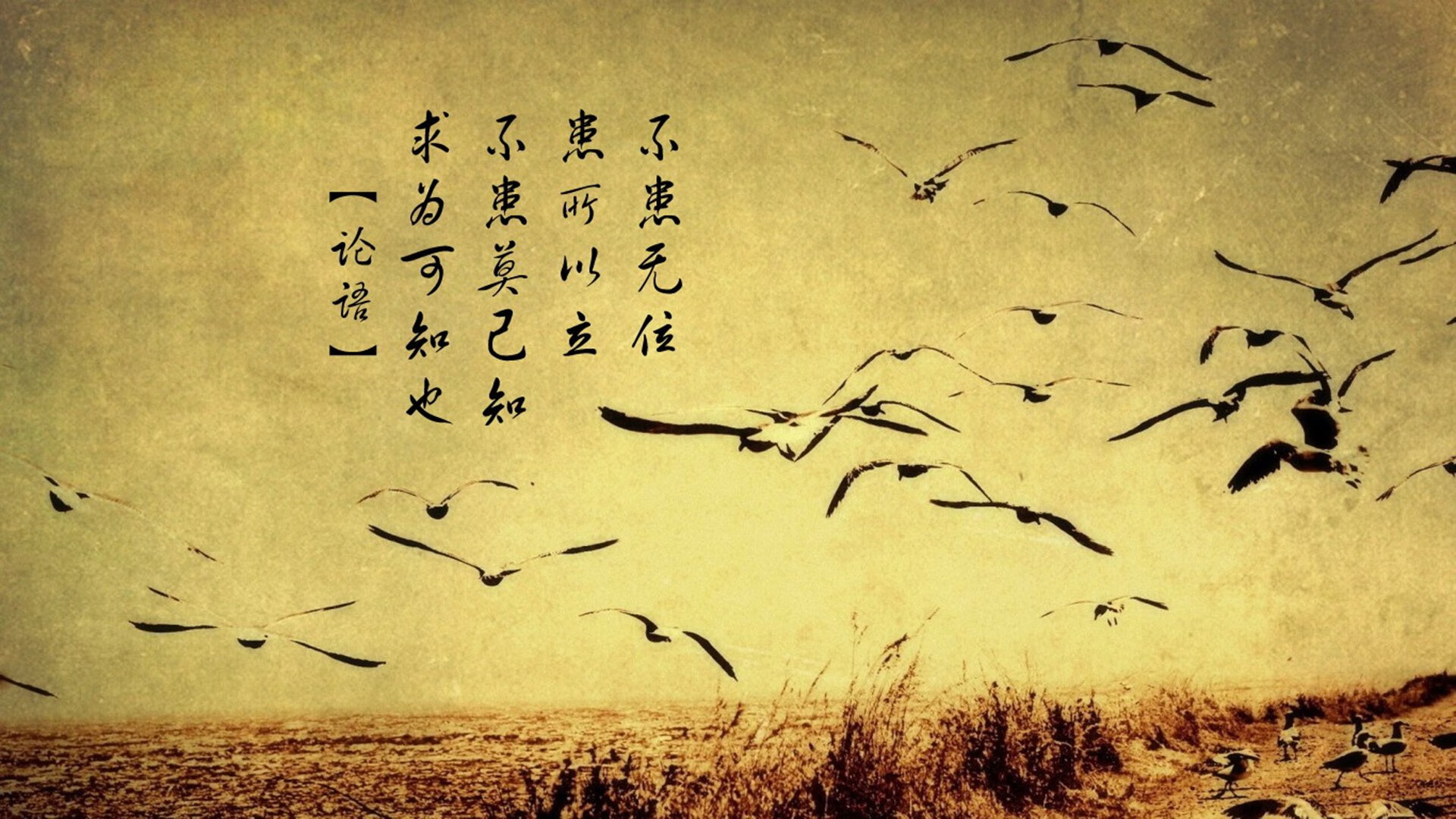 “青少年足球选拔赛火热举行，发掘潜力新秀”，青少年足球比赛规则