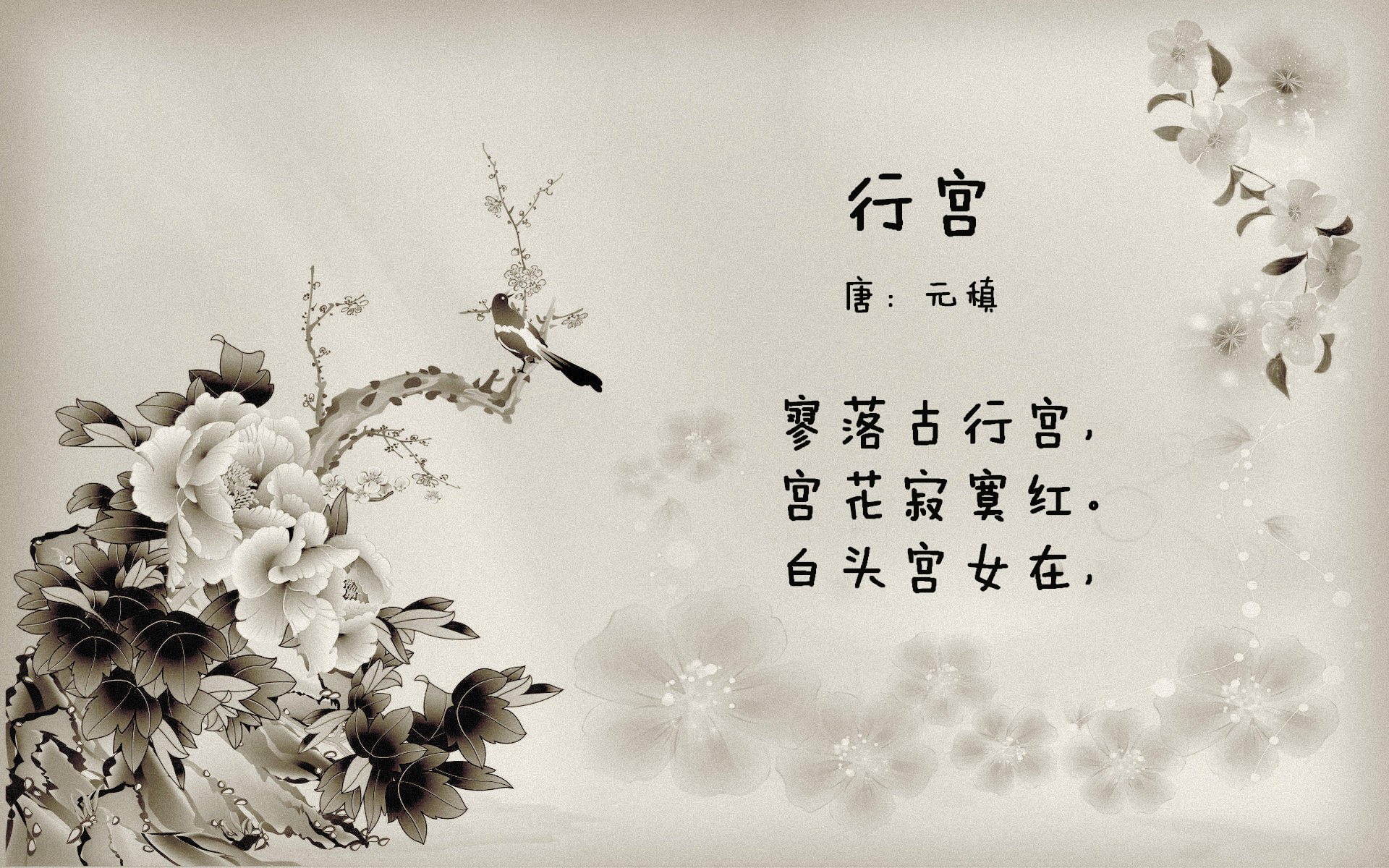 全国青少年“篮球新力量”创新赛在珠海火热举行，2021全国青少年篮球邀请赛