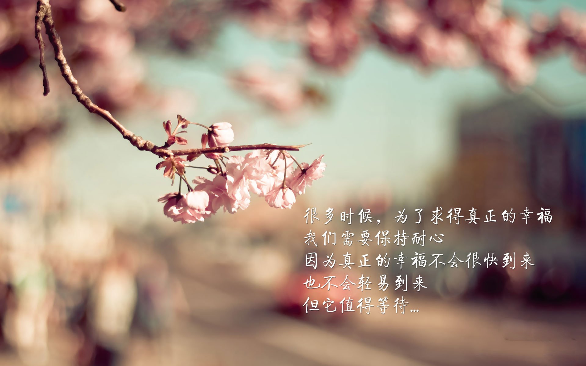 新兴市场：非洲国家台球运动快速崛起，非洲台是啥