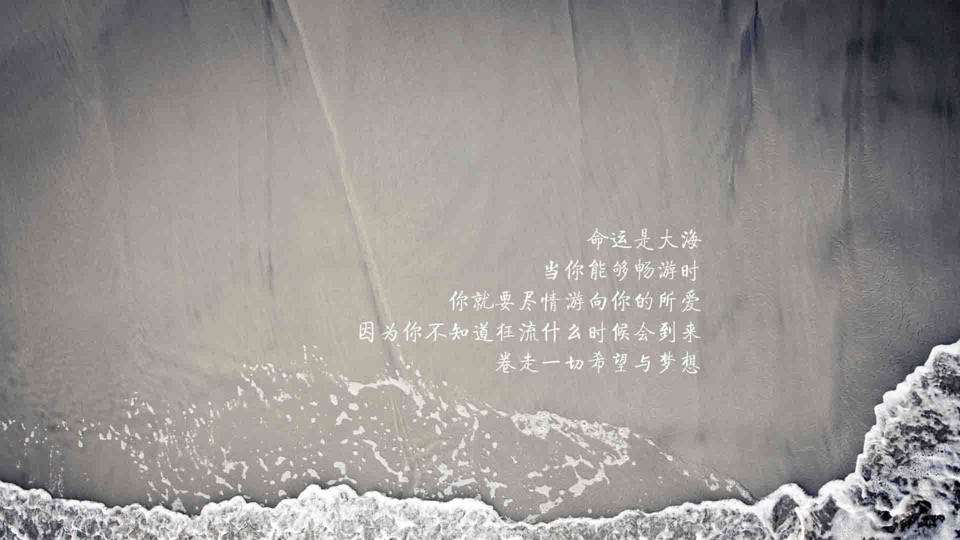 目标直指：冠军球队的成功路径解析，目标冠军和你[王者荣耀]