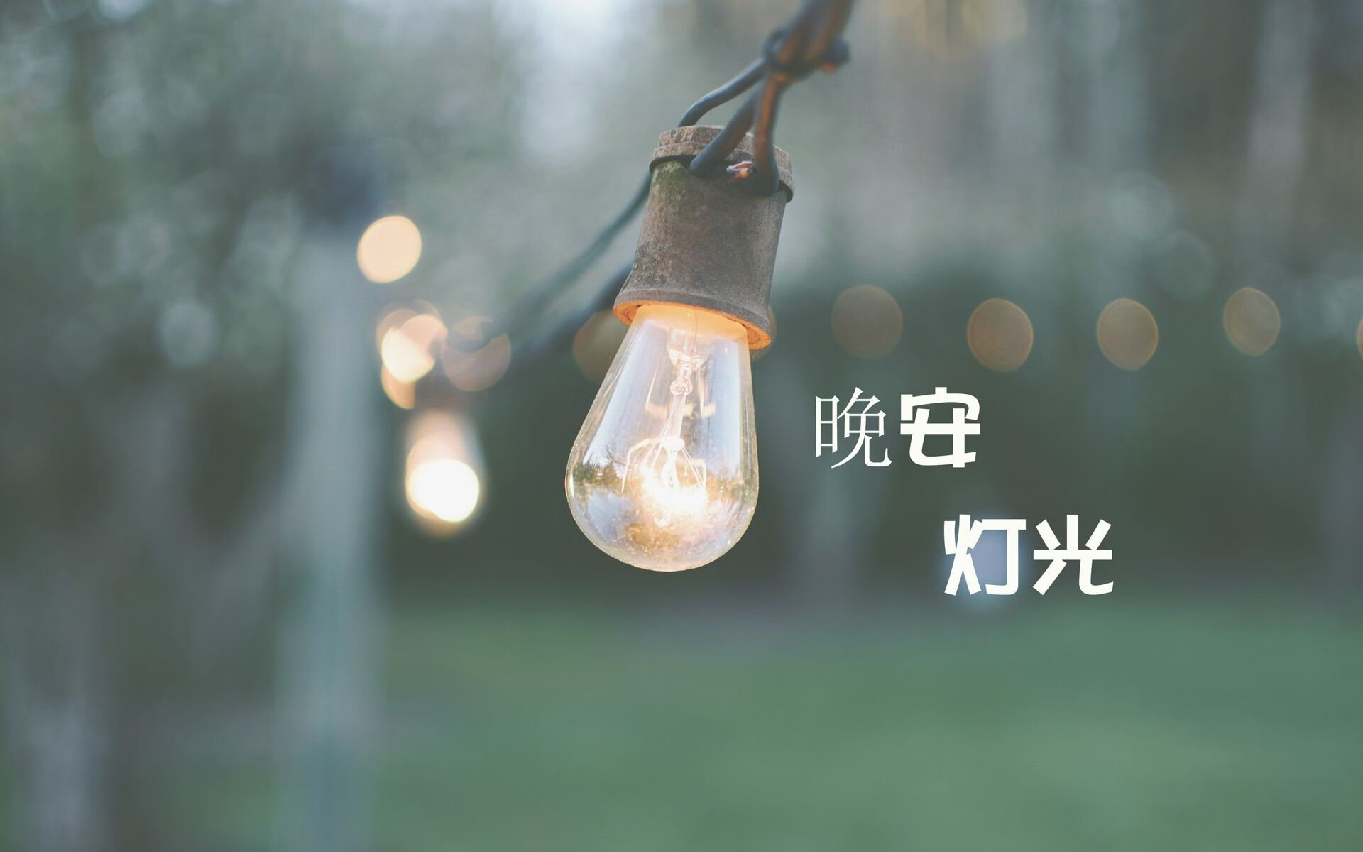 世界青少年羽毛球邀请赛掀起“羽毛狂潮”
