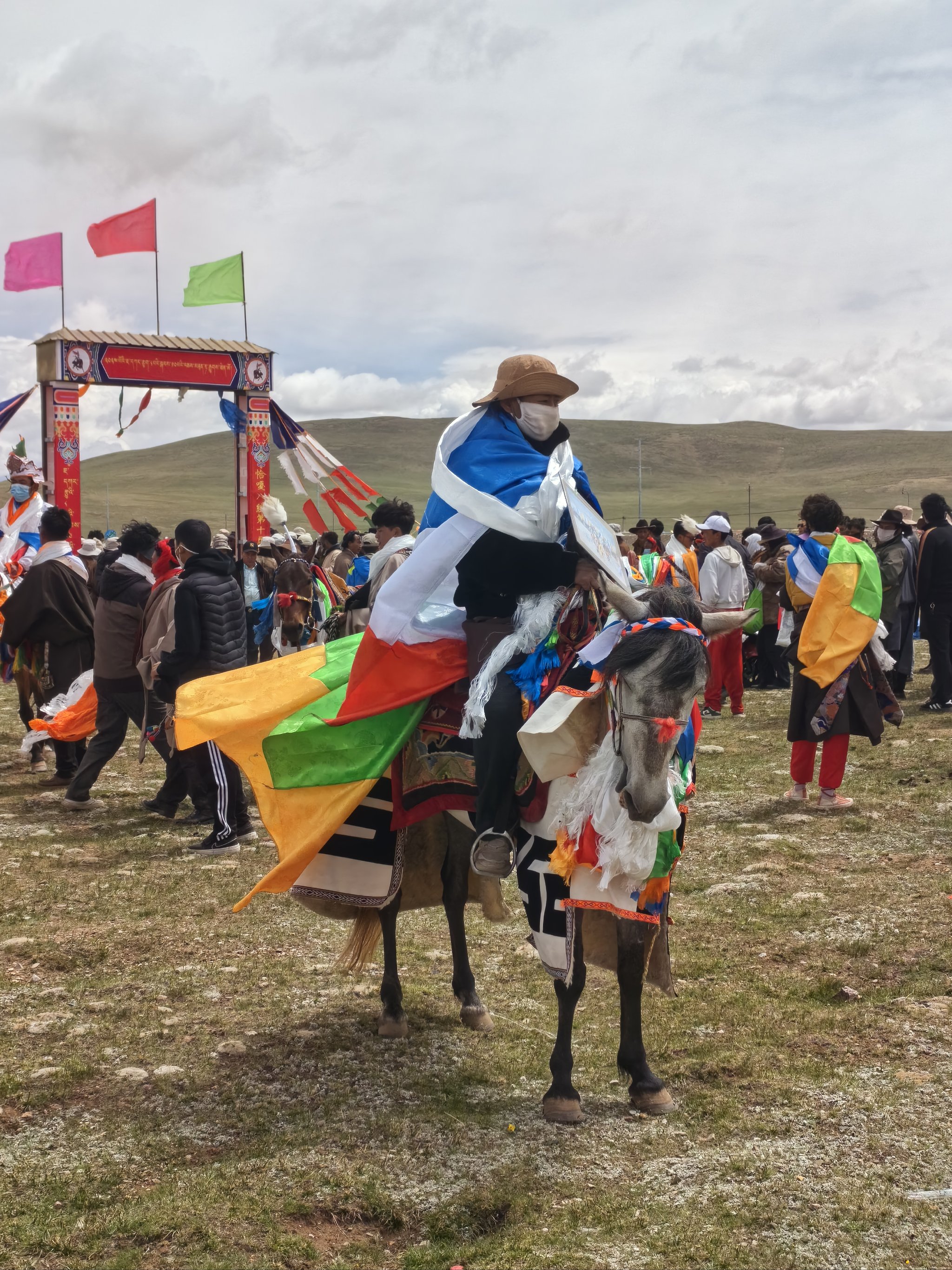 关于乡村花样骑马体验，领略牧民生活的独特魅力的信息