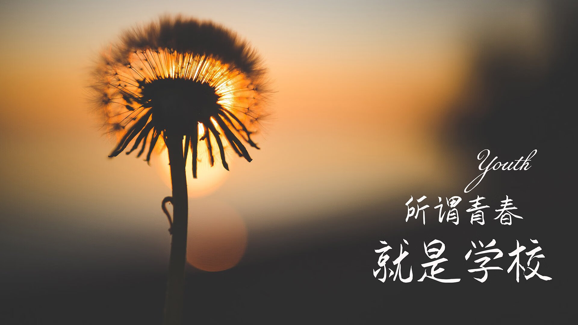 现场直播互动抽奖，粉丝赢取丰富奖品，直播抽奖活动方案创意