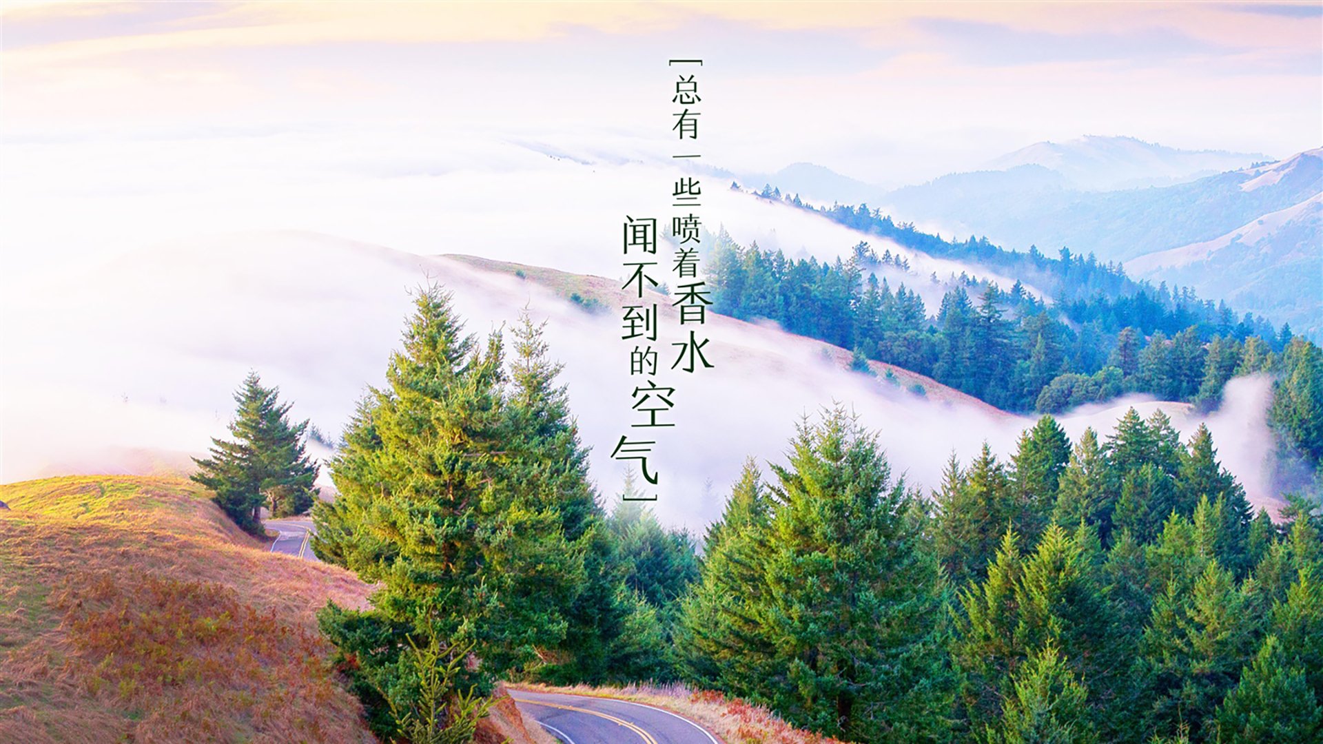 匈牙利队与保加利亚队战平，胜负难分，匈牙利对手