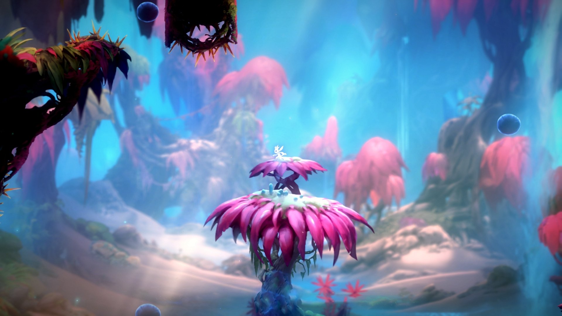 库兹马诺维奇在巴黎奥运会手球比赛中展现出强大的心理素质，库兹马打球视频