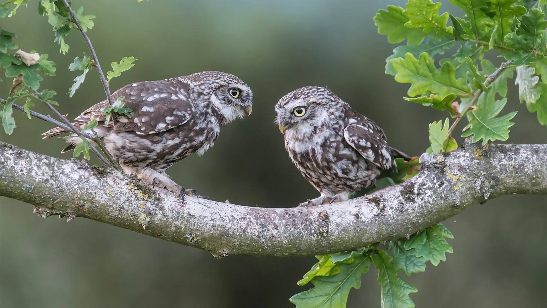 AIYOUXI.COM-女子国家队开展主题式战术周集中提升单项能力，女子国家队队员