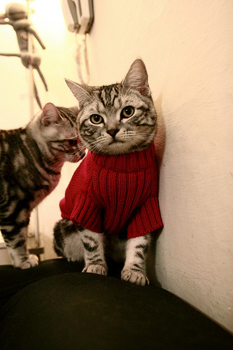 爱游戏官方-新闻平台推出赛事追踪专题聚焦赛季关键节点与核心对决