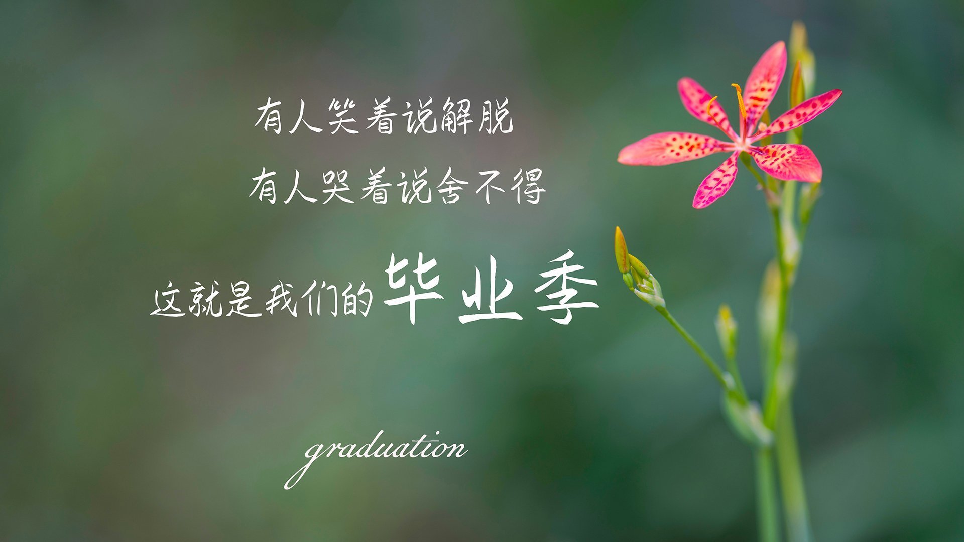 全民健身项目融合社区文化,全民健身进社区文案