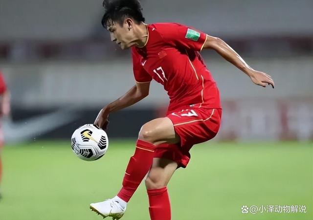 爱游戏APP:归化球员洛国富对中国足球的文化融合与社会影响的简单介绍